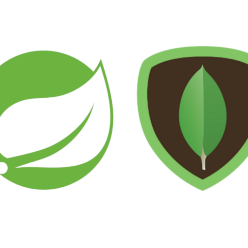 Spring Data MongoDB MappingInstantiationException